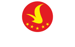 Vingroup